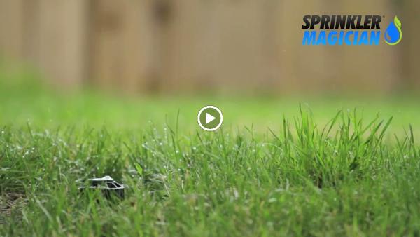 Waterboy Sprinkler Specialists