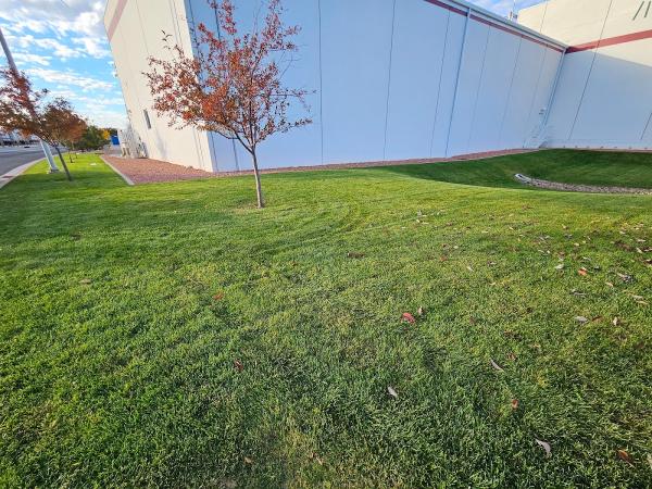 Royal Lawn Fertilization & Weed Control