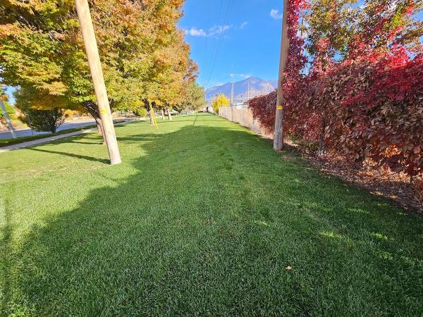 Royal Lawn Fertilization & Weed Control