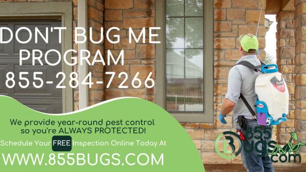 855bugs.com