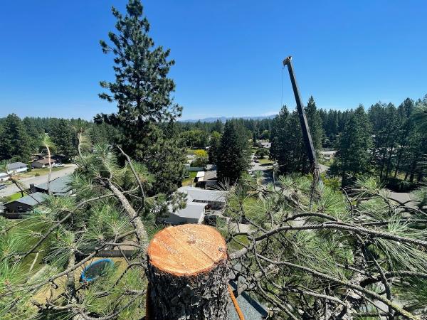 Blake's Tree Service LLC