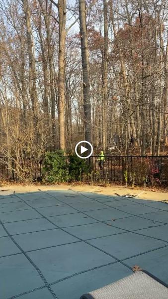 All About Landscaping