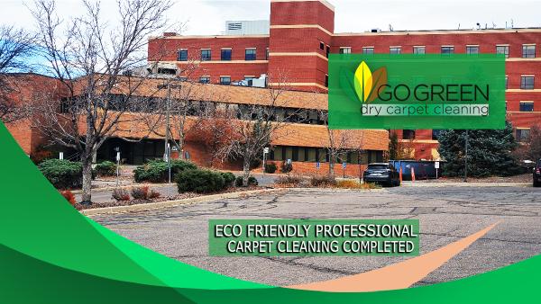 Go Green Dry Carpet Cleaning