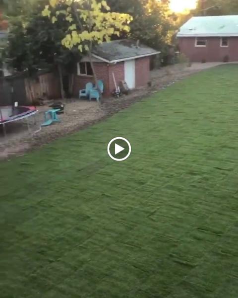 Scofield Landscape Inc