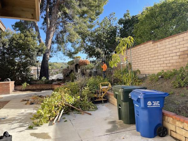 Acosta Tree Service