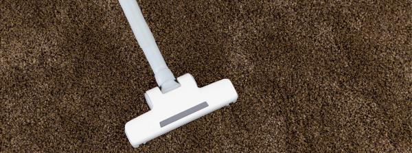Dakota & Sons Carpet Cleaners
