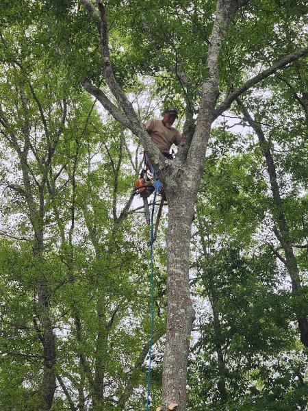 Complete Tree Service