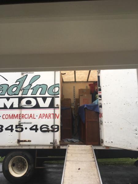 Corradino Bollenbach Moving