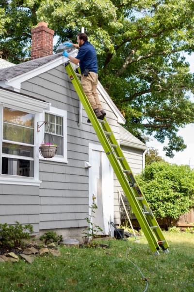 Clancy Brothers Pest Control