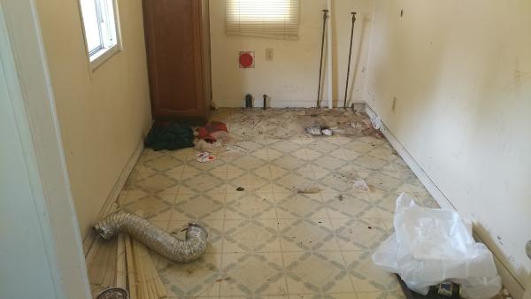 All-Round Cleaning Company