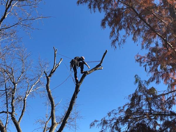 Huff's Tree Services