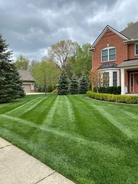 Brian's Lawn Maintenance