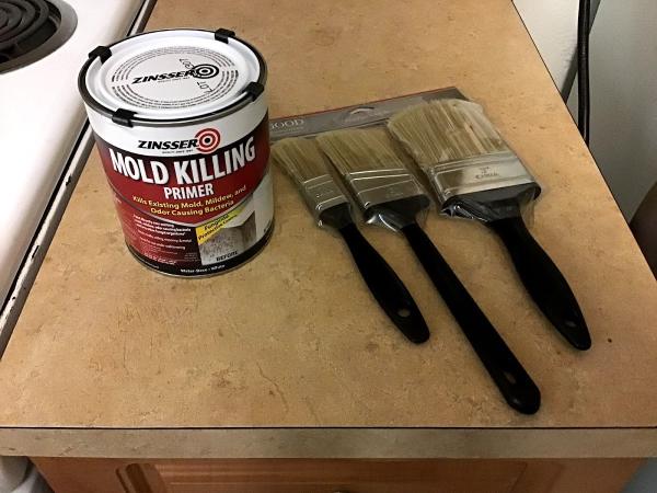 Mold Remediation Fort Lauderdale