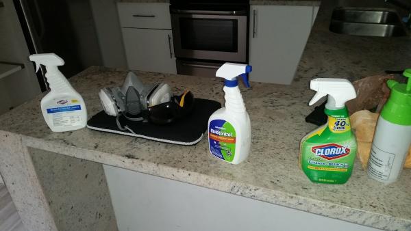 Mold Remediation Fort Lauderdale