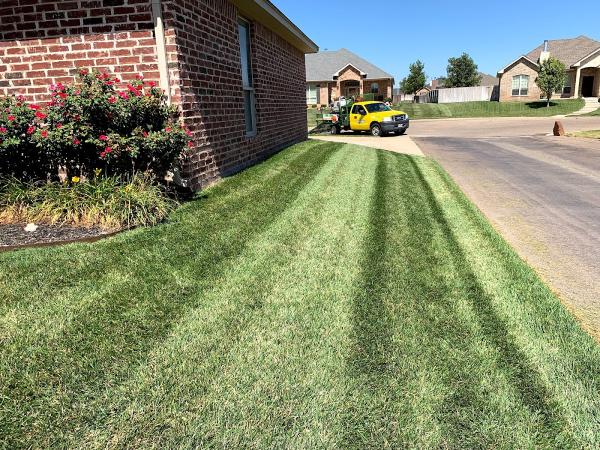 Dependable Lawn Pros