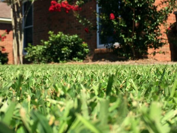 Ground Effects Property Maintenance