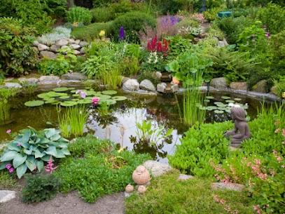 Cleo Landscaping