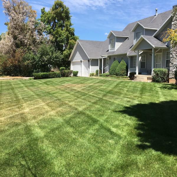 Narrowleaf Landscapes