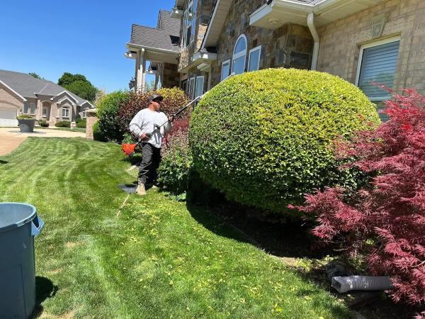 Narrowleaf Landscapes