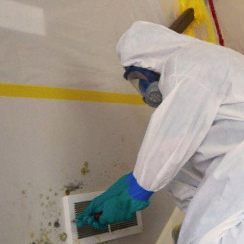 Valasoro Mold Remediation
