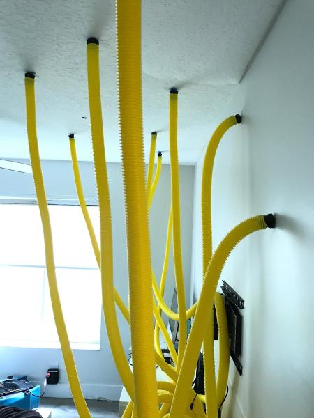 Drying Water Damage Restoration