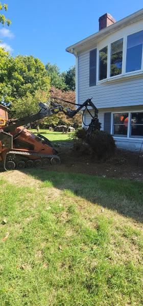 McDonald Tree Service