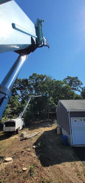 McDonald Tree Service