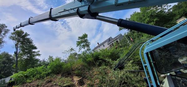McDonald Tree Service