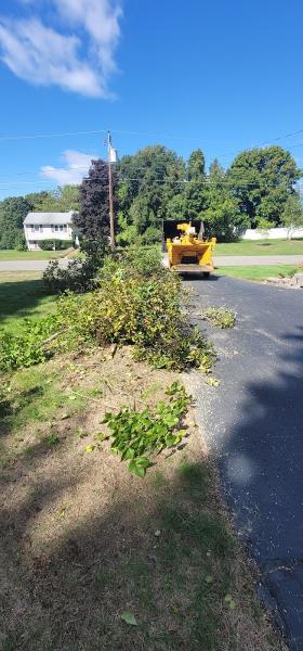 McDonald Tree Service