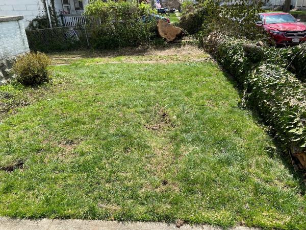 Motivational Landscaping