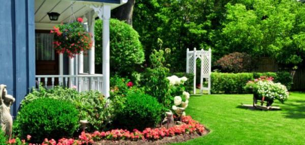 Clean-Cut Lawn Service
