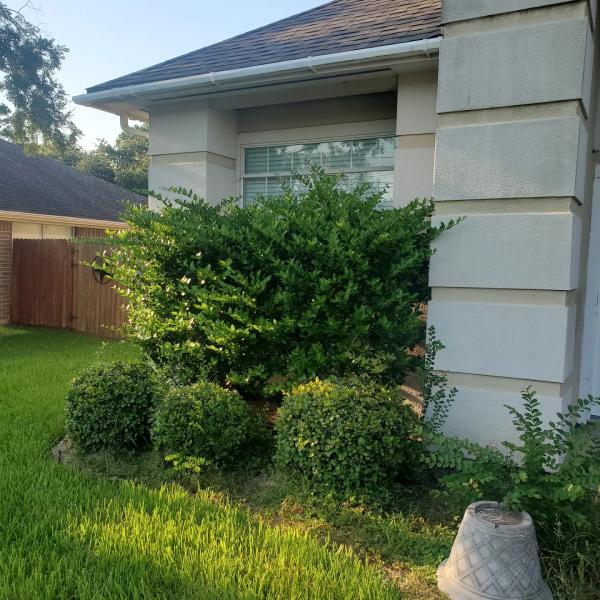 Bonita Bay Lawn Maintenance