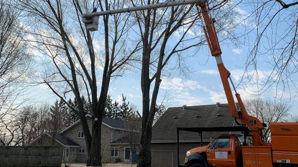 White Oak Tree Care Inc.