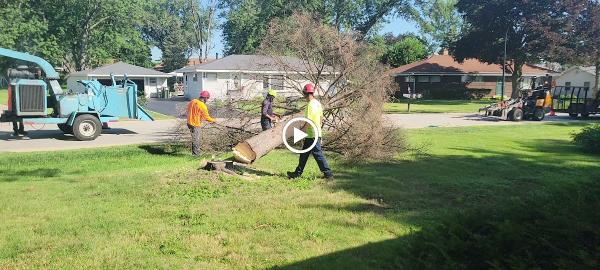 White Oak Tree Care Inc.