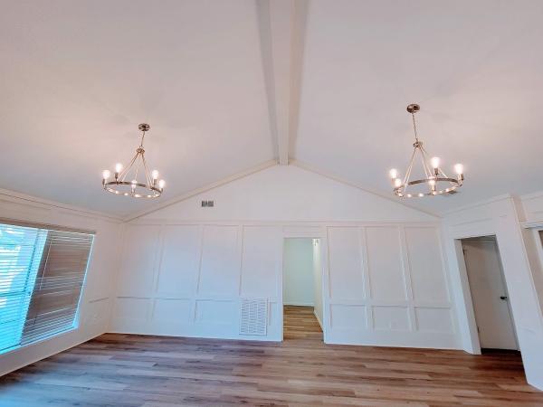 Lisa HTX Houston Real Estate