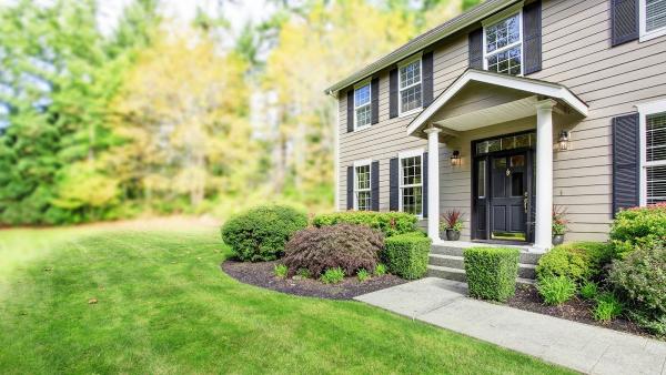 Excellent Prices Tree Services