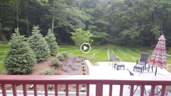 Riley Tree & Landscaping LLC