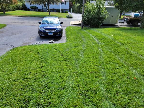 Riley Tree & Landscaping LLC