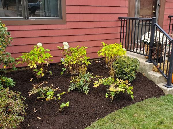 Riley Tree & Landscaping LLC