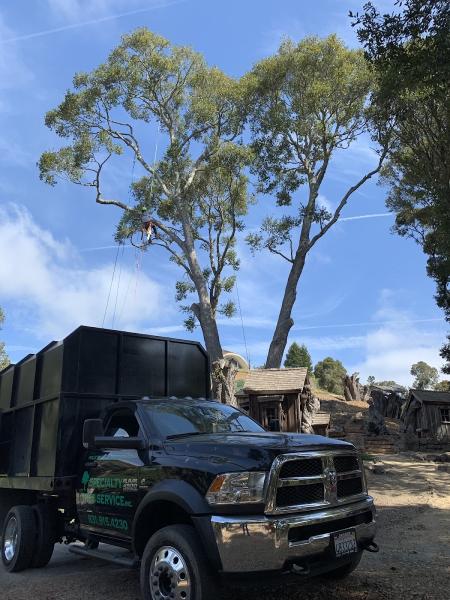 Specialty Tree Service Inc