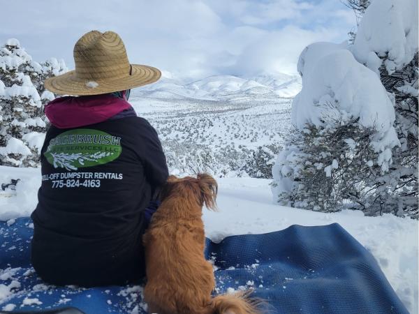 Sagebrush Waste Services LLC
