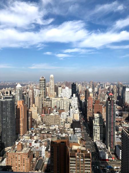 Organic NYC Services