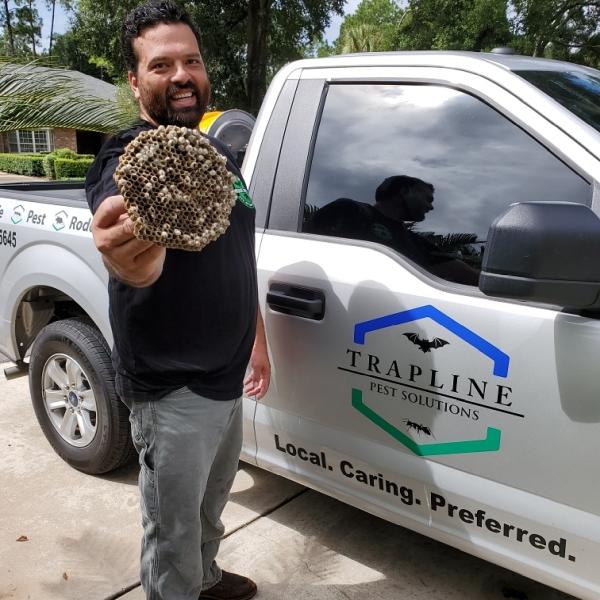 Trapline Pest Solutions