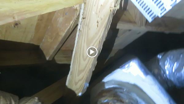 Malin Property Inspections