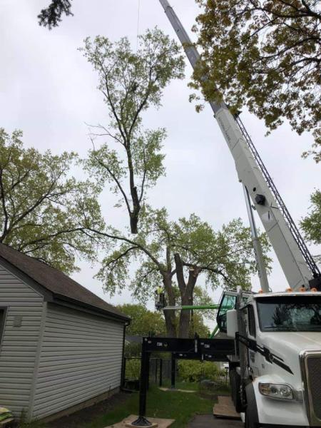 Premier Tree Service Inc