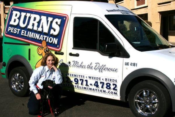 Burns Pest Elimination
