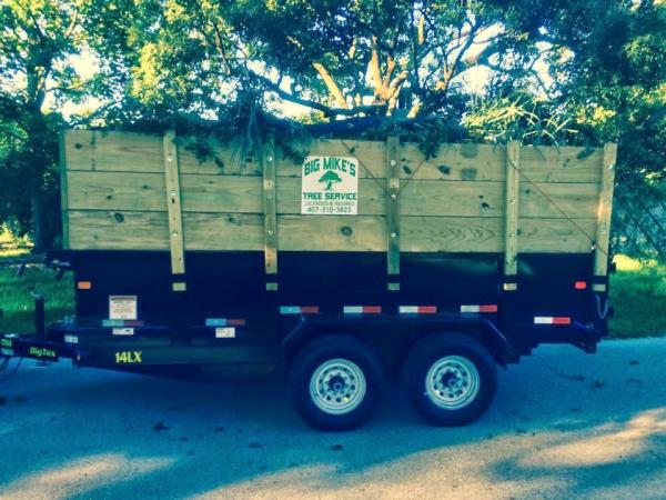 Big Mike's Tree Service