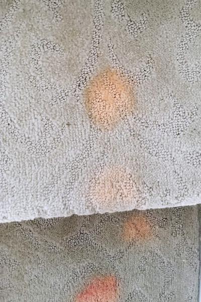 Langenwalter Carpet Dyeing