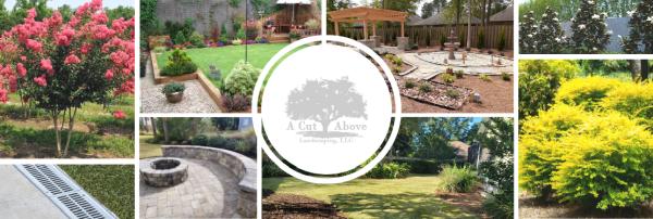 A Cut Above Landscaping and Property Maintenance