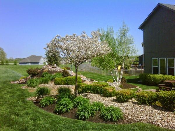 Green Lawn